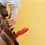 Handyman repair service in Evansville, IN for home fixes and improvements